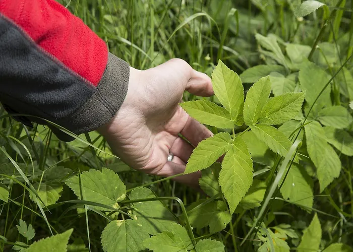 曼尼克兰皮尔提度假屋 *