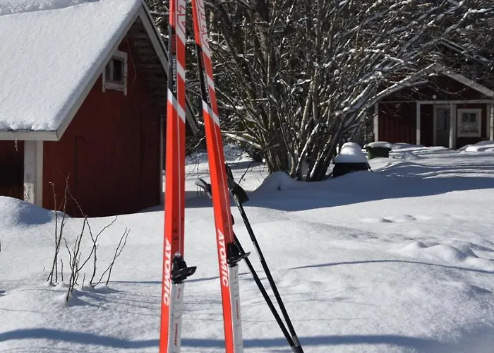 度假居 曼尼克兰皮尔提度假屋 *